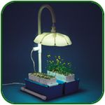 Solar Circle Light System